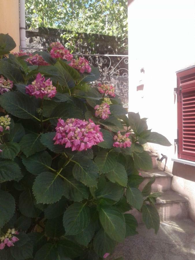 Monolocale Per Coppia Apartment Carrodano Inferiore Luaran gambar